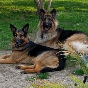 Meet your Posher, Karrie